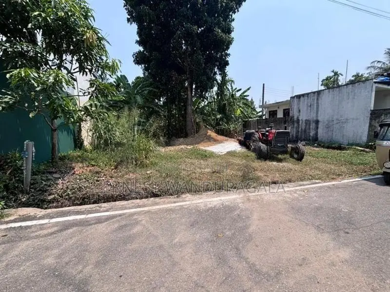 Land for sale in thalapathpitiya. Ls635