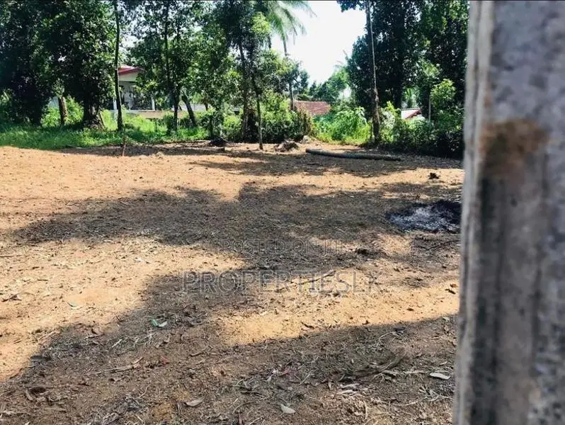 Ragama Thewatta Road 6.17 Perches Land for Sale