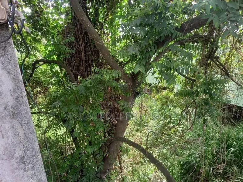 Land for Sale Gampola