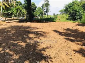 Ragama Thewatta Road 6.17 Perches Land for Sale