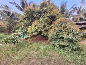 හයිලෙවල් පාරට ලගින්ම පර් 10 ඉඩමක් විකිනිමට