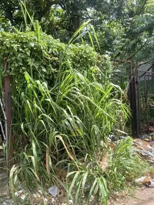 Land for Sale Gampola