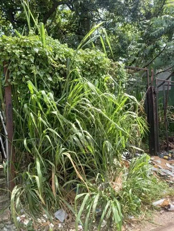 Land for Sale Gampola