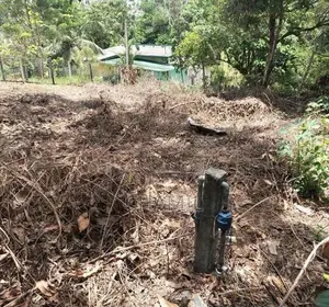 කැස්බෑව බන්ඩාරගම මර්ගයෙ වැල්මිල්ල P10 ඉඩම ඉක්මනින් විකිණීමට