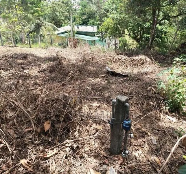 කැස්බෑව බන්ඩාරගම මර්ගයෙ වැල්මිල්ල P10 ඉඩම ඉක්මනින් විකිණීමට