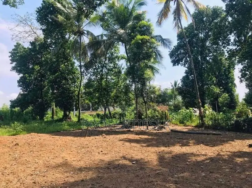 Ragama Thewatta Road 6.17 Perches Land for Sale
