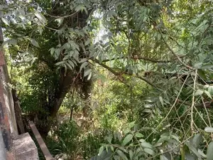 Land for Sale Gampola