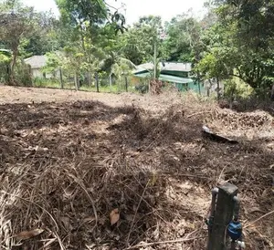 කැස්බෑව බන්ඩාරගම මර්ගයෙ වැල්මිල්ල P10 ඉඩම ඉක්මනින් විකිණීමට