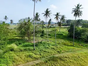 Airport Land for Sale in Katunayake - Kadirana
