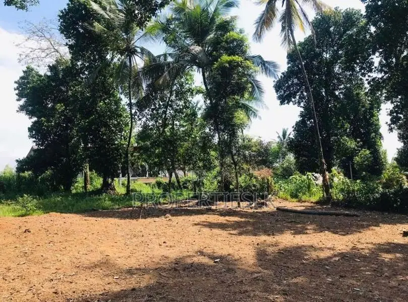 Ragama Thewatta Road 6.17 Perches Land for Sale