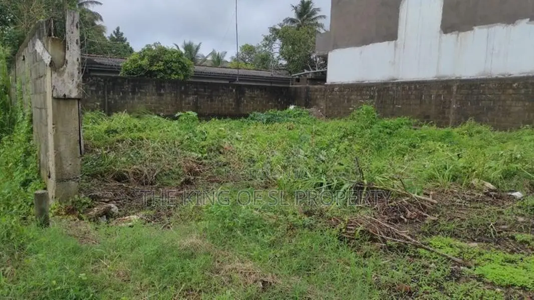 Land for sale in Boralesgamuva