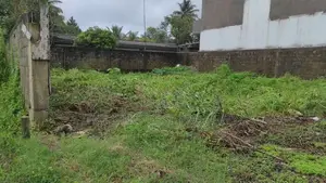 Land for sale in Boralesgamuva