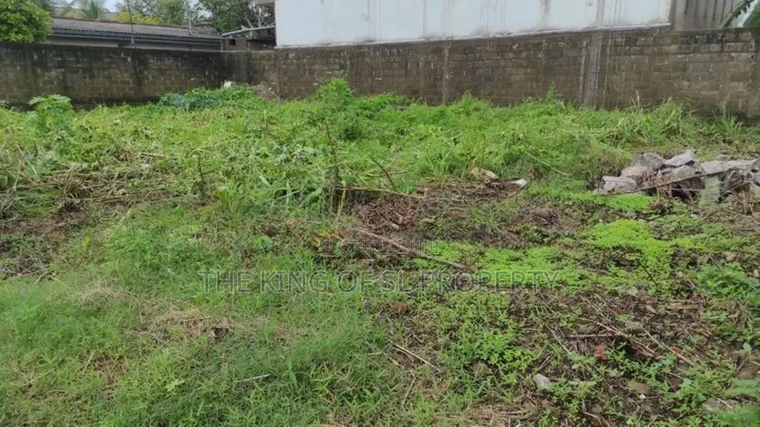 Land for sale in Boralesgamuva
