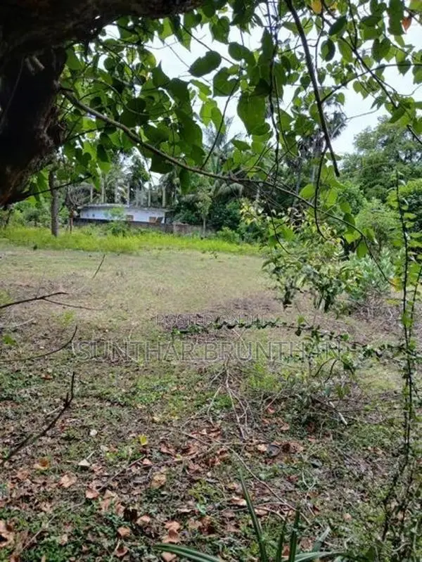 காணி விற்பனைக்கு - மானிப்பாய்
