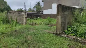 Land for sale in Boralesgamuva