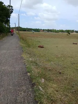 Land for Sale Jaffna