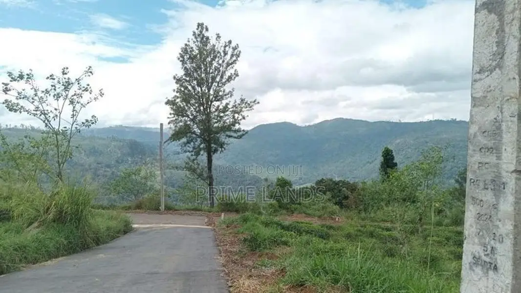 View Point Land for Sale Nuwara Eliya Road