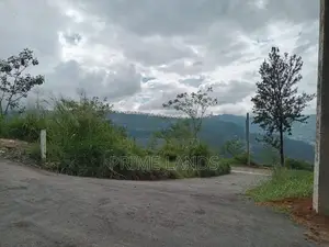 View Point Land for Sale Nuwara Eliya Road