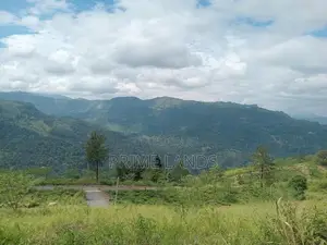 View Point Land for Sale Nuwara Eliya Road