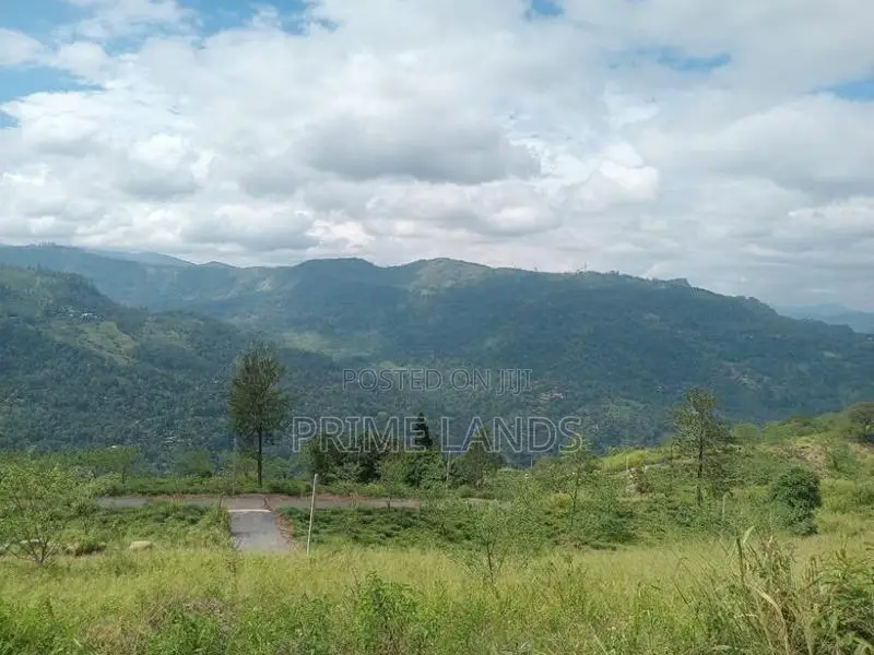 View Point Land for Sale Nuwara Eliya Road