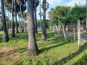 Land for Sale Jaffna