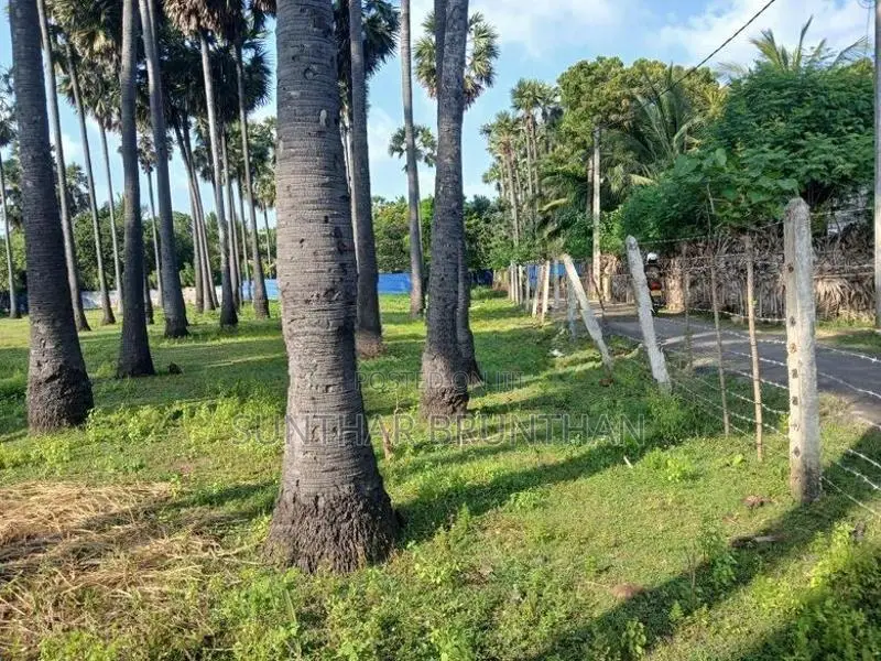 Land for Sale Jaffna