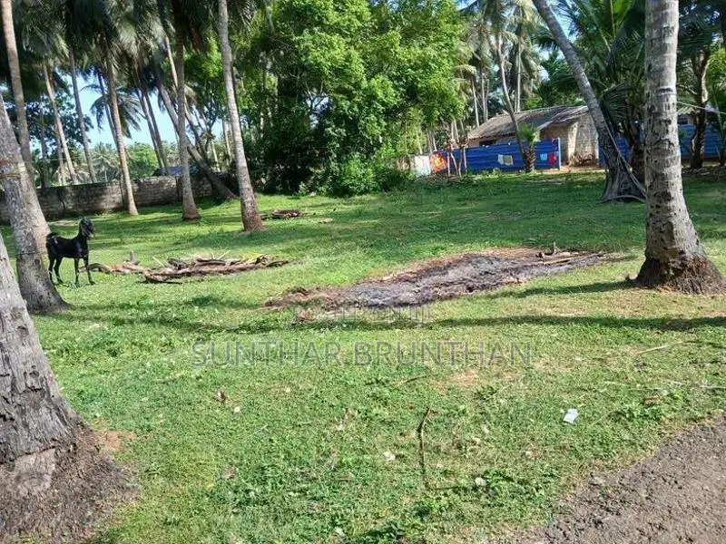 காணி விற்பனை Jaffna
