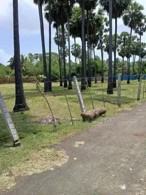 Land for Sale Jaffna