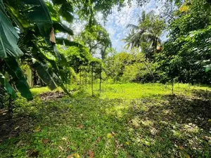 (AFA150) 20 P Bare Land Sale At Werasekera Road Thalawathugoda