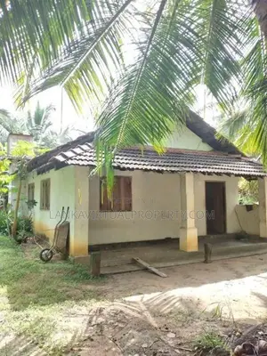 Puttlam Kurunegala Road 3.5 Acres Coconut Land for Sale