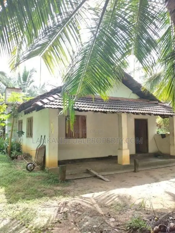 Puttlam Kurunegala Road 3.5 Acres Coconut Land for Sale