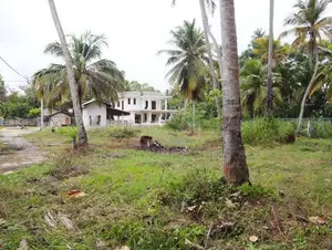 Prime Land for Sale in Marawila