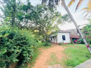 (AFA159) 49 P With Old House Sale At Jambugasmulla Road Nugegoda