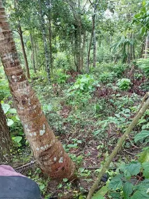 Land for Sale Kakenadura