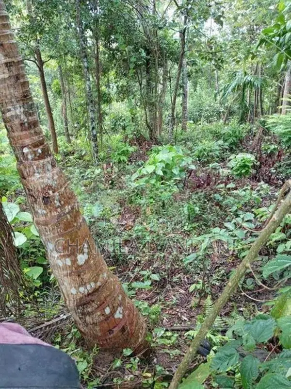 Land for Sale Kakenadura