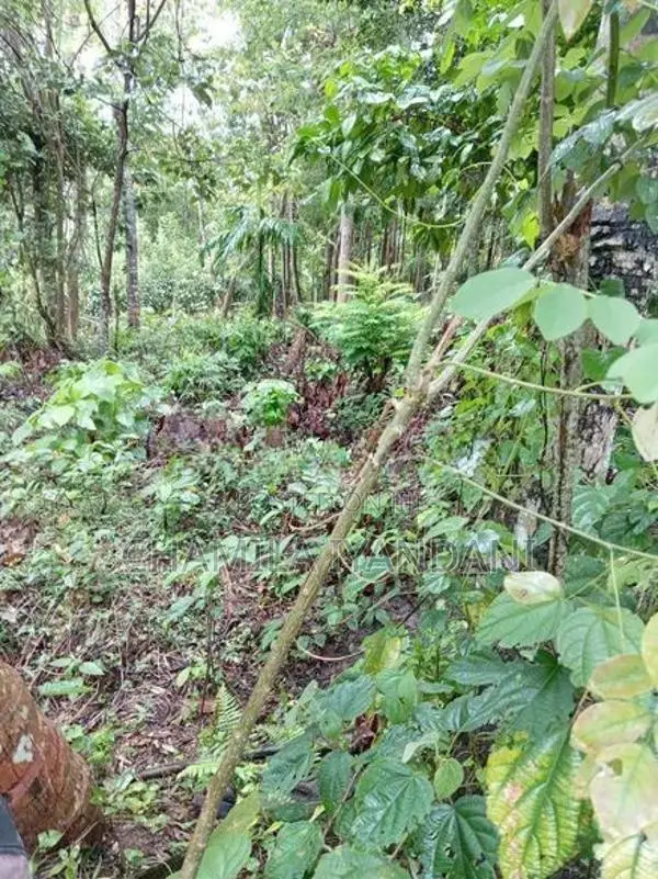 Land for Sale Kakenadura