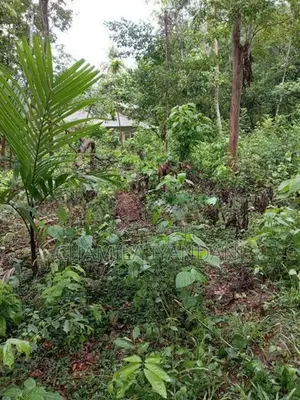 Land for Sale Kakenadura