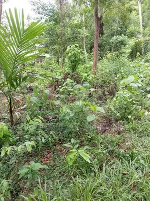 Land for Sale Kakenadura