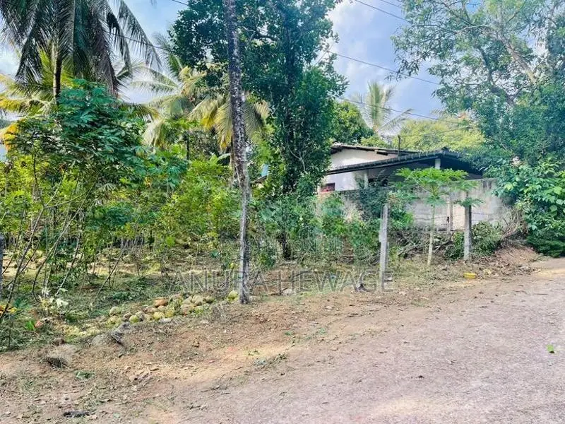 Land for Sale Panagoda, Lenagala. (ID : PNGD001)