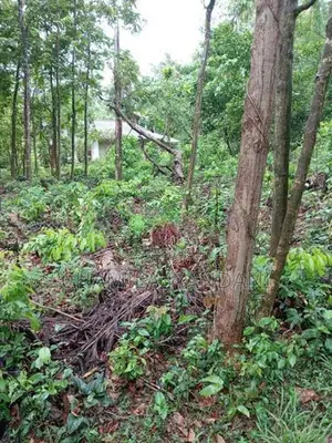 Land for Sale Kakenadura