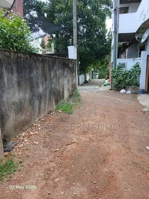 bear land