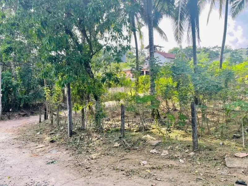 පනාගොඩ, ලෙනගල ප්‍රදේශයේ පිහිටි ඉඩමක් විකිණීමට ඇත. (ID : PNGD001S)