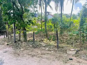 Land for Sale Panagoda, Lenagala. (ID : PNGD001)