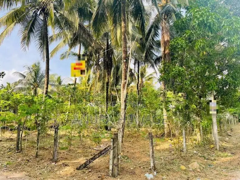 පනාගොඩ, ලෙනගල ප්‍රදේශයේ පිහිටි ඉඩමක් විකිණීමට ඇත. (ID : PNGD001S)