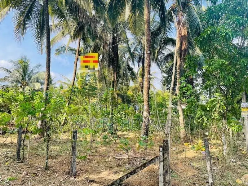 පනාගොඩ, ලෙනගල ප්‍රදේශයේ පිහිටි ඉඩමක් විකිණීමට ඇත. (ID : PNGD001S)