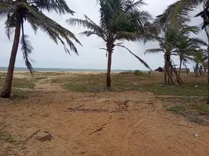 KALPITIYA : 240 perches Land for Sale in kalpiti road , Mampuri Beach