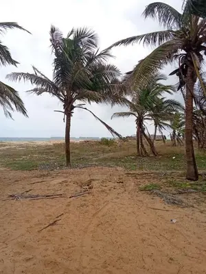KALPITIYA : 240 perches Land for Sale in kalpiti road , Mampuri Beach