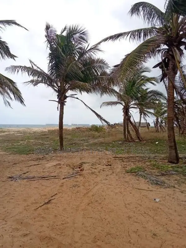 KALPITIYA : 240 perches Land for Sale in kalpiti road , Mampuri Beach