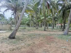 KALPITIYA : 240 perches Land for Sale in kalpiti road , Mampuri Beach