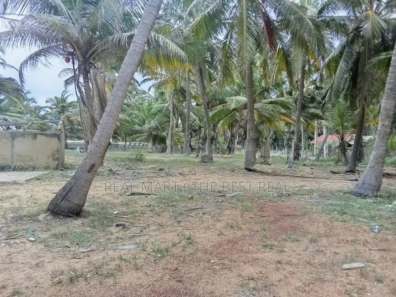KALPITIYA : 240 perches Land for Sale in kalpiti road , Mampuri Beach